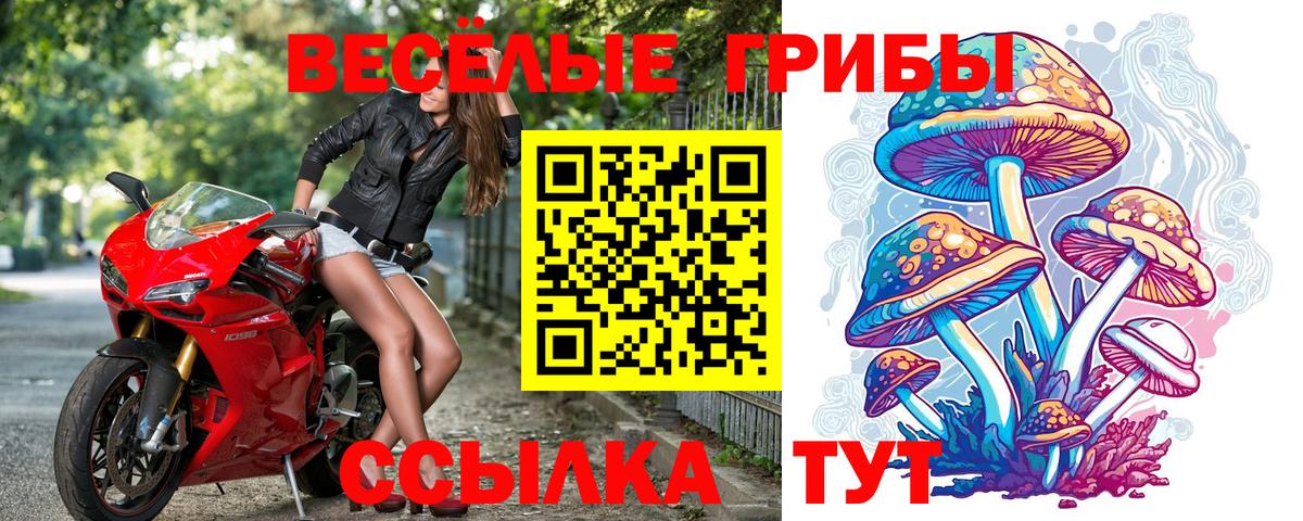 Галлюциногенные грибы мухоморы  Вход с VPN  Строитель  Галлюциногенные грибы мухоморы 