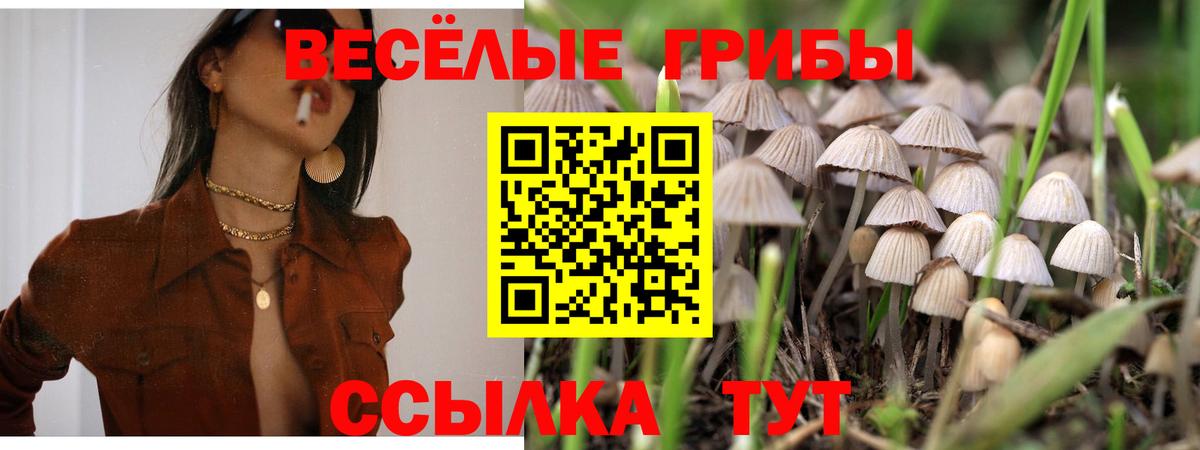 Галлюциногенные грибы мицелий Строитель
